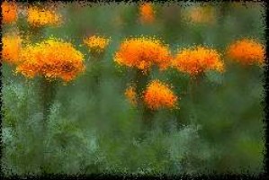 4 story hack download