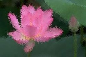 www die 7 zwerge spiele de