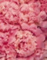 Gameboy advance spiele test