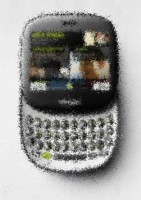 Russell terrier spielen