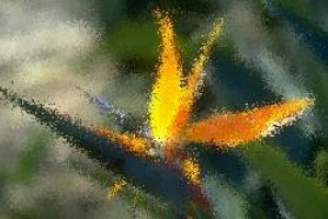 Kostenlose internet games