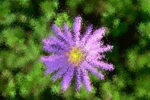 Kostenlose internet games