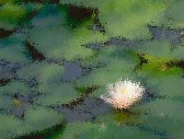 Kostenlose onlinespiele erotik