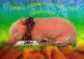 Geburtstagsspiele zum 16