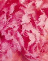 mp3 in flash abspielen