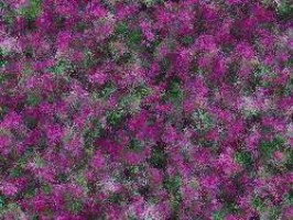 plattenspieler mit usb port