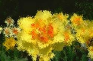 wow wildtiere zahmen