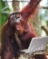 pc spiele kostenlos downladen