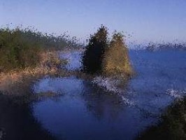 welcher ehemalige deutsche nationalspieler feiert heute geburtstag