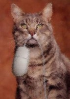 die besten kostenlose onlinespiele