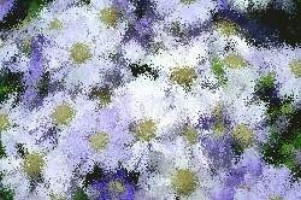 geburtstagsspiele zum 16