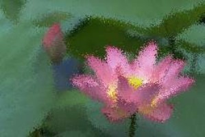 aktuelle spiele wm 2010