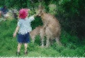 harry potter und die kammer des schreckens schauspieler