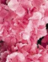 pc spiele kostenlos downladen