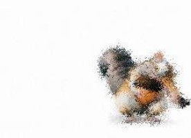 salzburger festspiele august 2011