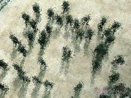 Kostenloses yugioh online game