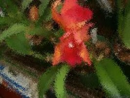 spiele testet die mac games