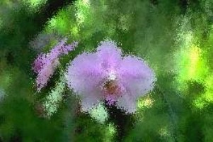 alle gamecube spiele auf wii