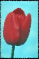 gratis pc-spiele vollversionen