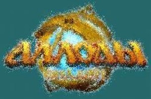 pferde spiele onliene